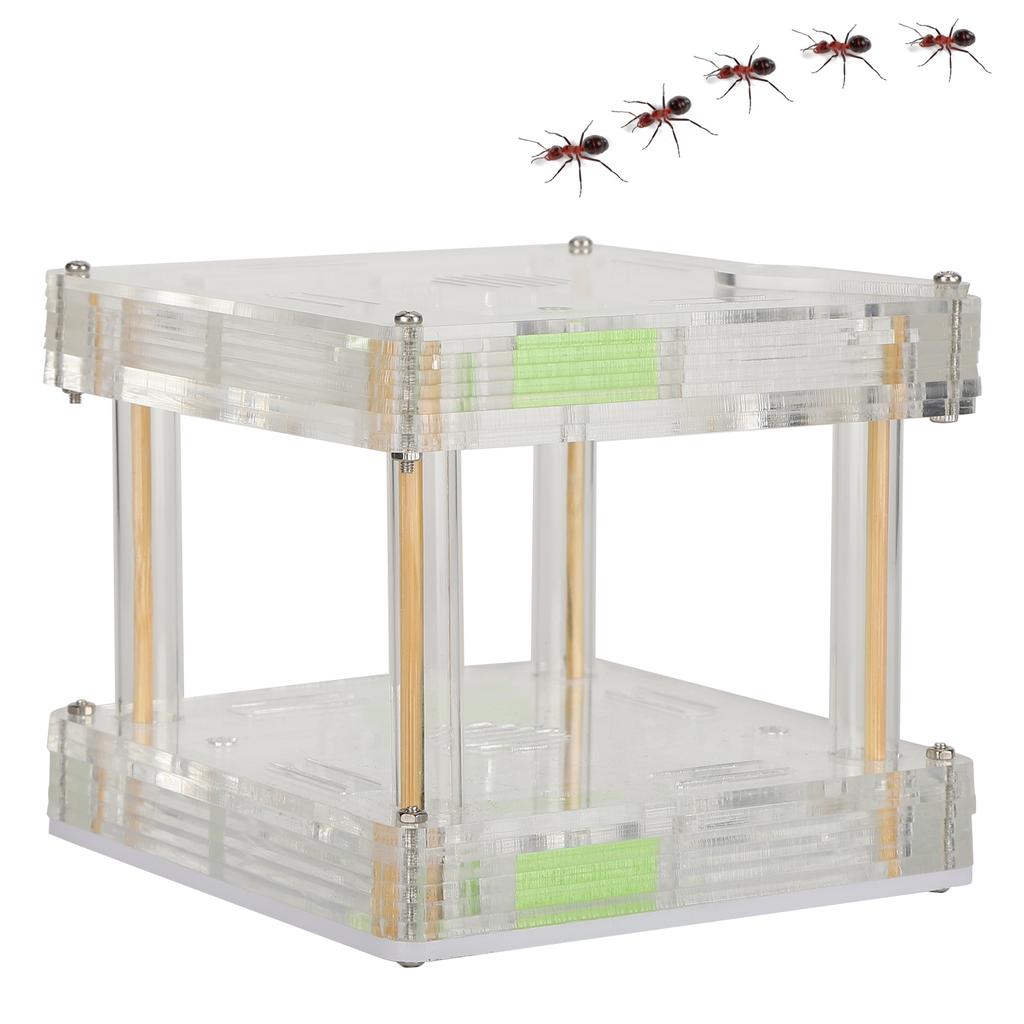 Acrylic Ant Nest Display Box Ant Nest House Hill Castle Villa Farm for Insect Educational