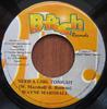 7inch Record WAYNE MARSHALL - Need A Girl Tonight NONE B-Rich Records 2002 Jamaica Reggae, Ska & Dub Used
