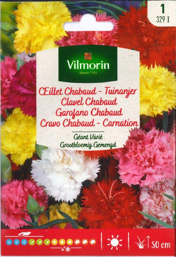 Разнообразные семена двойной гвоздики