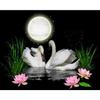 DIY 5D Diamond Painting White Swan Animal Diamond Mosaic Cross Stitch Kit Diamond Embroidery Wall Home Decoration Art
