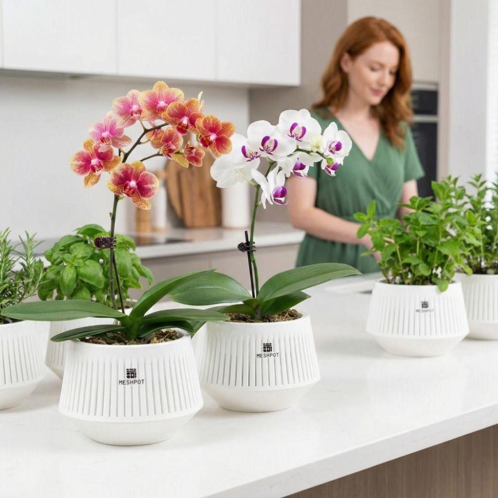 Moisturizing Meshpot Orchid Pot Thickening Root Control Flowerpot Growing Pots Bonsai Planting