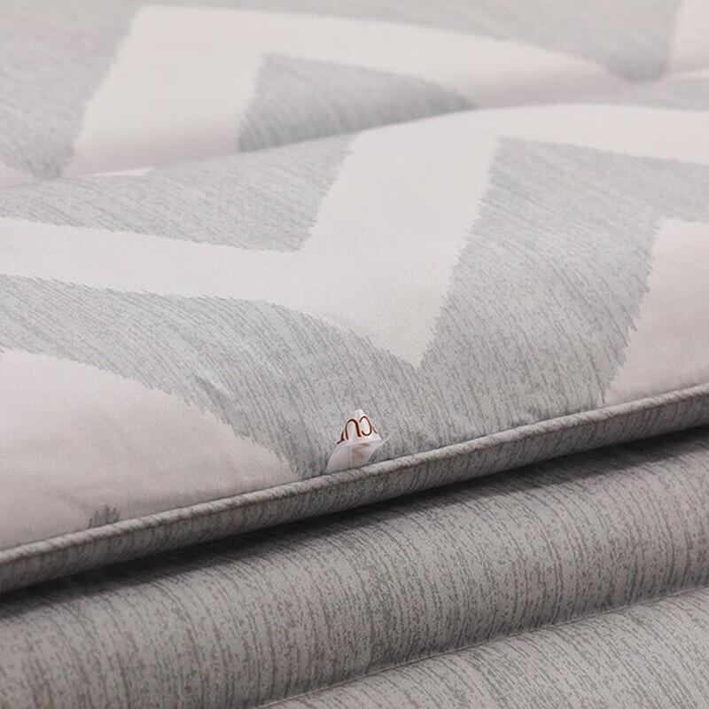 Mercury Home Elegant Negative Ion Antibacterial Winter Quilt