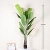 Nordic Traveller's Palm Artificial Plant for Living Room & Window Decor - Potted Greenery for Indoor Landscaping