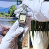 Casio Стандартная серия 30 метров водонепроницаемые кварцевые часы для мужчин и женщин, желтый циферблат AQ-230EGG-9AEF