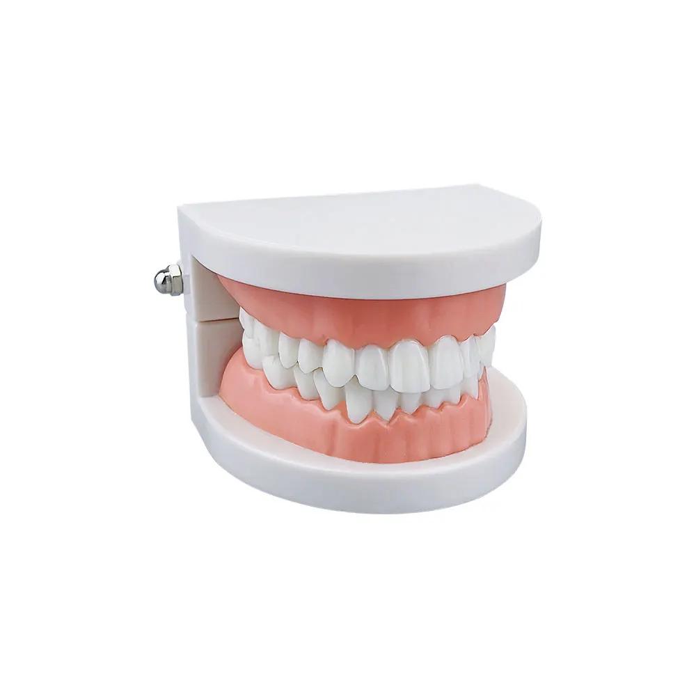 Azdent Dental Model Training Typodont Teeth Model For Dental Technician Practice Teaching Gum Teeth Jaw Model Resin Lab Tools