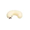Simulation Soybean Mealworms Stress Relief Toy Slow Rebound Soft Mochi Toys Creative Funny Squishy Toy Sensory Fidget Toys Gifts