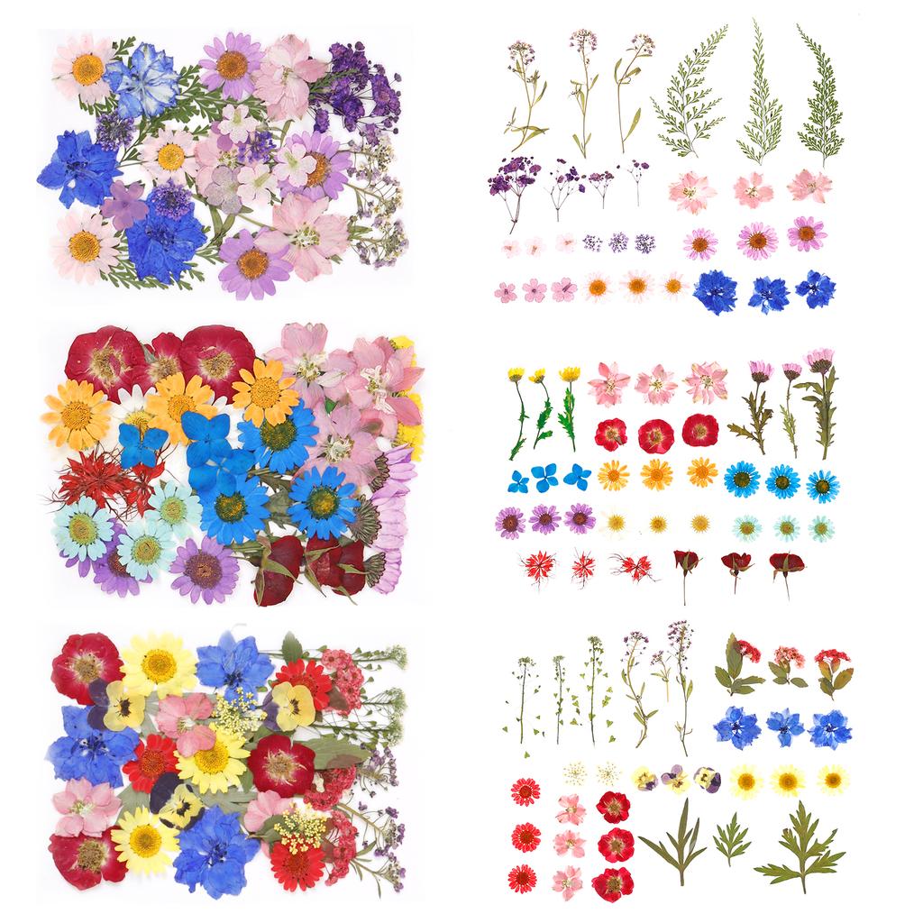 Dried Flowers Diy Pressed Flowers Stickers 104/96/94Pcs Real Natural Pressing Floral Leaves For DIY Making Art Decoration Home