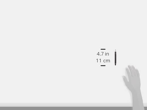 Sailor Fountain Pen Profit Light Silver Trim Black Extra Fine 11-1039-120