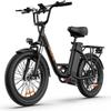 URLIFE E20 Multi Terrain Electric Bike For Adult 48V13Ah Battery 500W Motor Electric Bicycle 20 Inch Fat Tires City Riding E-bike
