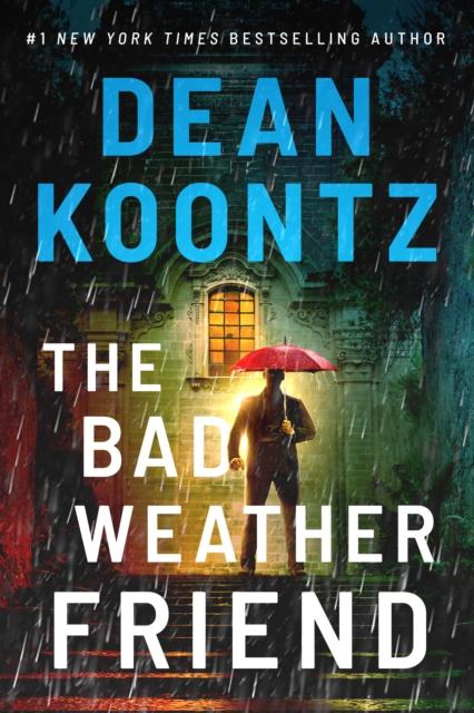 Книга The Bad Weather Friend