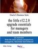 Книга Oracle E-Business Suite: the Little R12.2.8 Upgrade Essentials for Managers and Team Members
