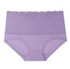 Plus Size High Waist Women's Briefs with Lace Edge In Solid Colors