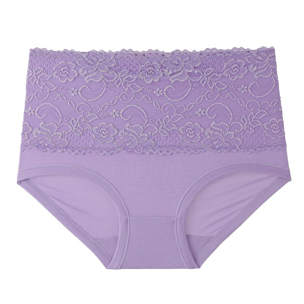 Plus Size High Waist Women's Briefs with Lace Edge In Solid Colors