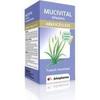 Arkogélules mucivital ispaghul 150 желе