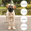 Adjustable Dog Muzzle Anti-Biting Dogs Mouth Cover Silicone Pitbull Breathable Muzzlees Dogs Harnesses Pets Training Supplies