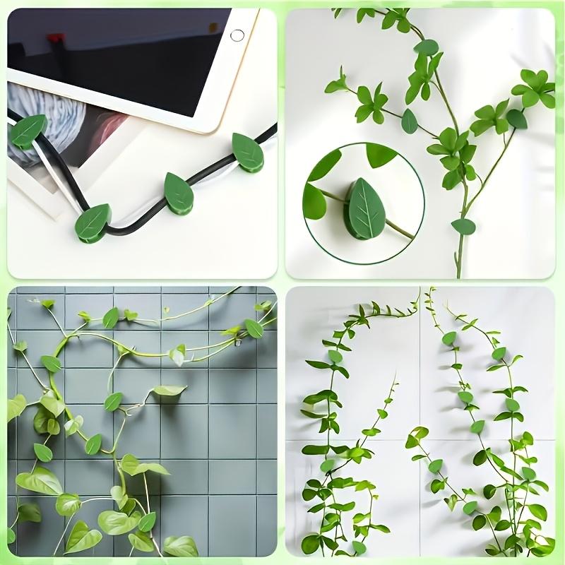 10Pcs Self-Adhesive Vine Wall Clips, Durable Plant Fixing Holder, Practical Garden Organizer Tool for Climbing Vine Arrangement