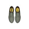 Nike Air Zoom Pegasus 36 Vintage Lichen Мужские кроссовки Green Spruce-Fog AQ2203-300