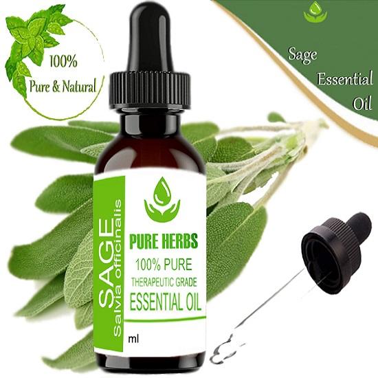 Pure Herbs Sage (Salvia Officinalis) Pure & Natural Therapeutic Grade Essential Oil Plastic with Dropper