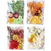 Dried Flowers for Crafts Crafts Accessories Dry Flower Card Decor Journaling Floral Decoration Colorful Versatile Dried Flowers