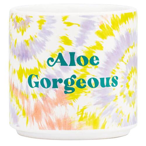 Tie Dye Planter (Small) (Aloe Gorgeous)