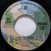 7-дюймовая пластинка LEO SAYER - Long Tall Glasses WBS8043 Warner Bros. Re 1974 US Pop Used