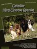 Книга Unser Traumhund : Cavalier King Charles Spaniel