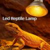 Full Spectrum Pet Heating Bulb Dimmable Turtle Basking Lamp Durable Heat Lamp  Lizards Habitat