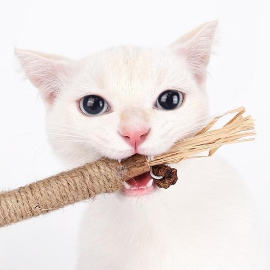 Кошачья жевательная палочка, игрушка из натуральной виноградной лозы, игрушка для здоровья зубов, молярная игрушка, кошачья мята, лакомство, игрушки, палочка для чистки зубов для домашних котят