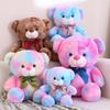 Cute Rendered Teddy Bear Doll Plush Toy Bear Hug Bear Doll Rag Doll For Girlfriend Birthday Gift