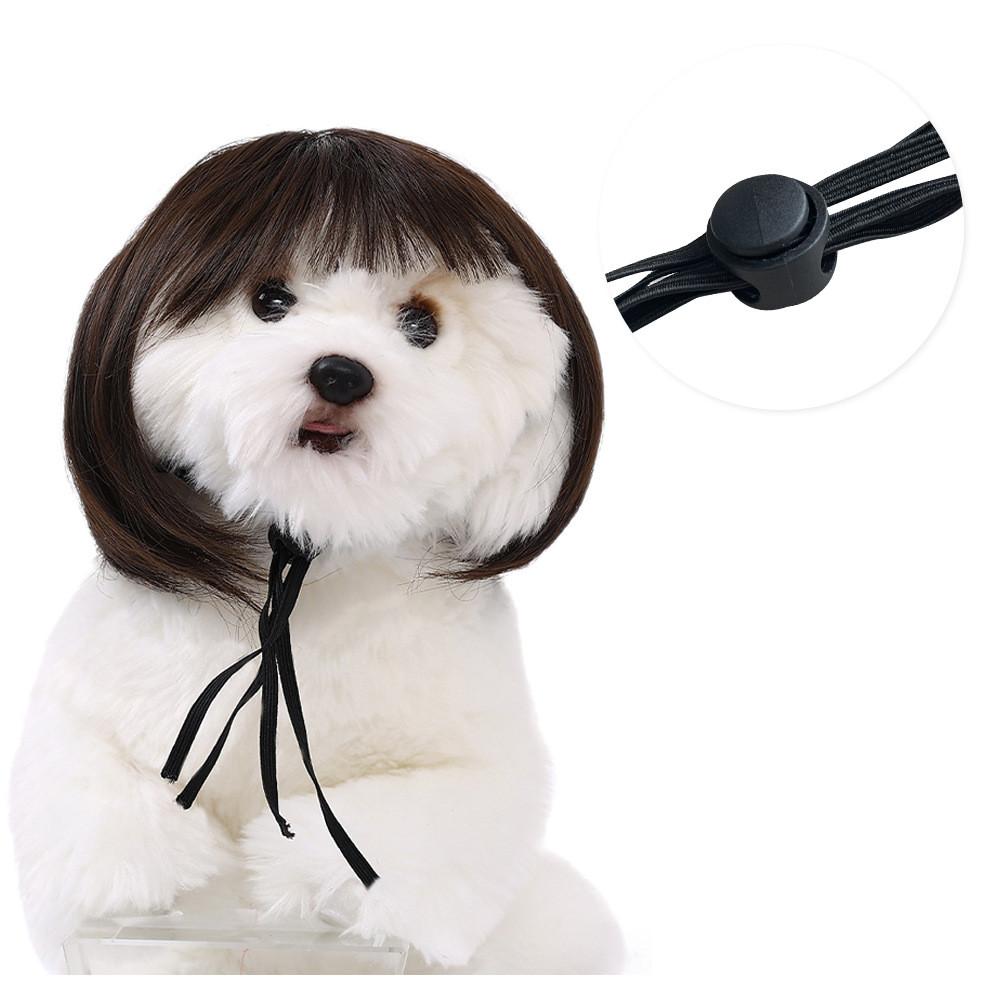 Adorable Pet Wig With Bangs Cute Bob Style For Cats And Dogs In Vibrant Colors