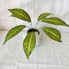 Monstera Deliciosa Faux Plant With 7fork Zebra And Turtles Leaves For Wedding Decor And Wall Art