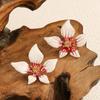 Модные Серебристые Серьги-Гвоздики в Форме Цветка с Фианитами для Женщин Изысканные Вставные Серьги Преувеличенные Ювелирные Аксессуары