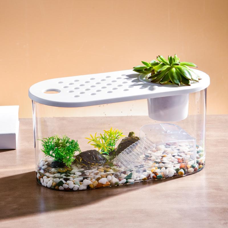 Clear Plastic Fish Tank for Desktop Landscaping - Turtle, Goldfish, Micro Ecosystem Aquarium