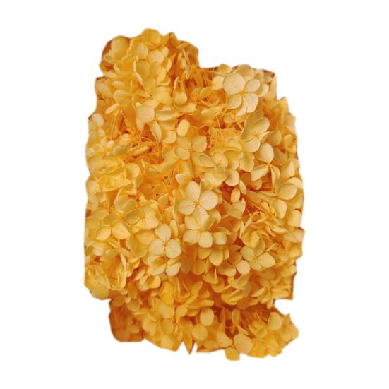 Модные сухие цветы гортензии без полива, легкие, добавляют атмосферы