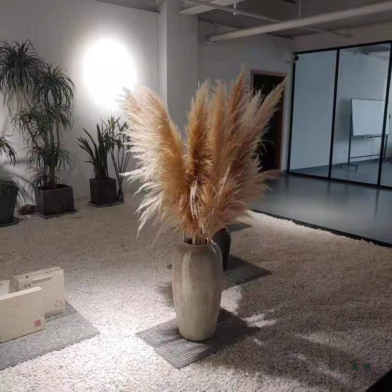 Extra Large Preserved Pampas Grass Bouquet for Nordic Style Decor