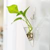 Transparent Wall Hanging Vase Hydroponics Plants Flowerpot Plant Propagation Vase  Wall Decor