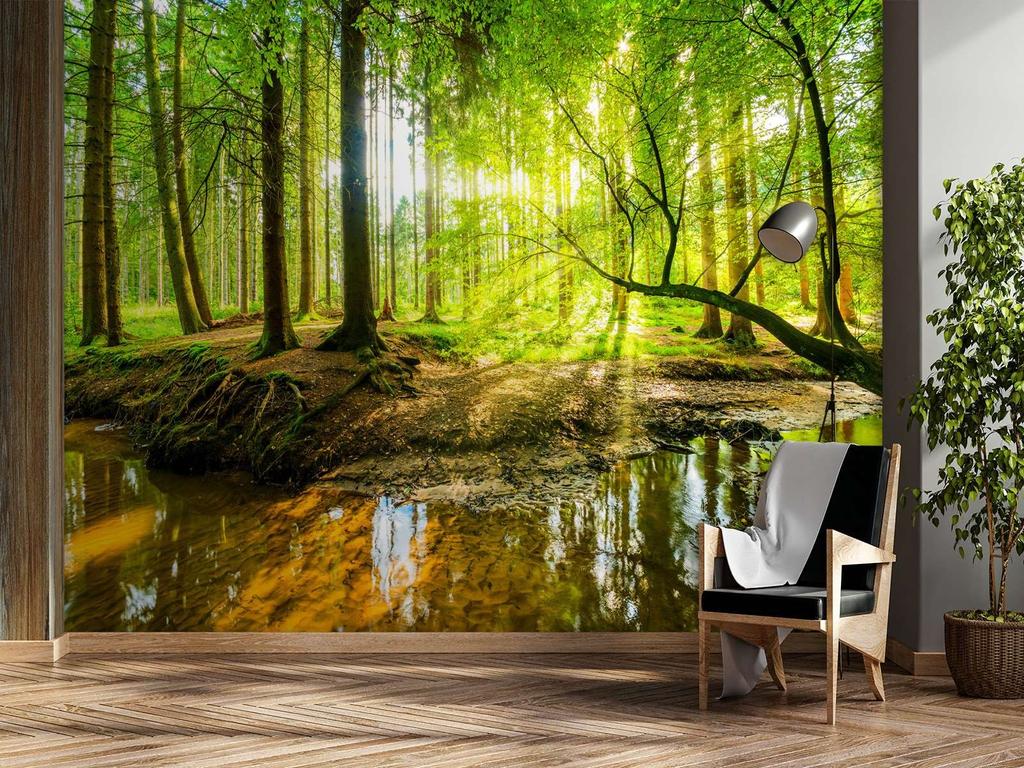 Обои Ручей в лесу на восходе солнца Природа