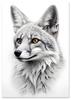Fox Poster Sketch