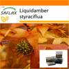 Garden in the Bag - American Sweet Gum - 100 семян - С субстратом в подходящем пакете-стойке - Liquidamber styraciflua