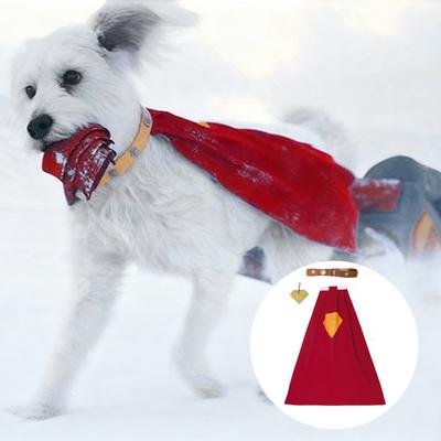 Одежда и обувь – Аксессуары для собак