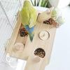 Training Function Parrot Feeding Tray Hanging Pet Food Seek Toy  for Small Pet