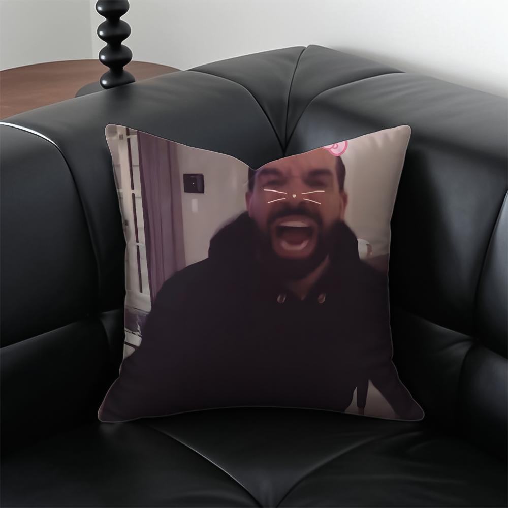 funny ddrake meme Cushion Cover Pillow Case Antidustmite Invisible zipper silky plush cushion