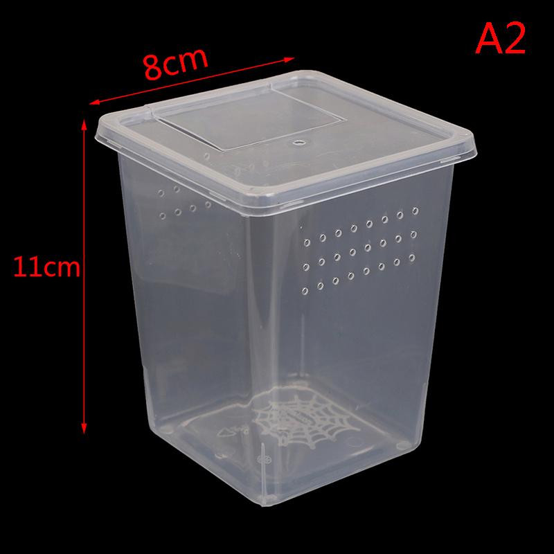 Plastic Insect Spider Habitat Feeding Box Case Container Tank Transport Case Toy