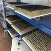 Браслет "Множество Сокровищ" из лакированных бусин с инкрустацией перламутром – Унисекс, Китайский трендовый стиль