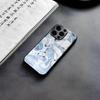 Чехол для телефона с иллюстрацией Белого Лебедя Для IPhone 17 Air 16 E Pro Max 15 14 13 Mini 12 Pro 11 Max Plus Черная Стеклянная Крышка