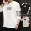 Men's Spring New Korean Style Trendy Pullover Round Neck Casual Bottoming Loose Long-sleeved Jacket Tops for Men