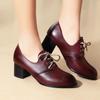 Women's High Heel Single Shoes Spring and Summer New Thick Heel Large Size Low Top Shoes All Lace-up Four Seasons Shoes