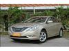 Hyundai Sonata 2011-2014 Накладки на двери, защита от царапин