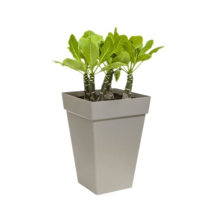 ELHO Bac à fleurs Loft Urban Carré Haut - Ø 29 x H 41 cm - Extérieur - 100% recyclé - Noir