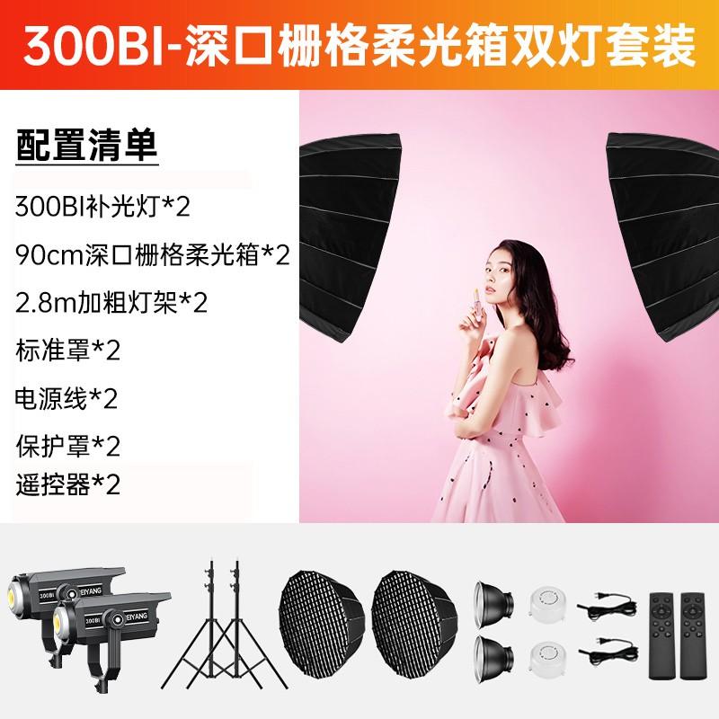Professional LED Spherical Fill Light Streamers Video Shooting Studio Use